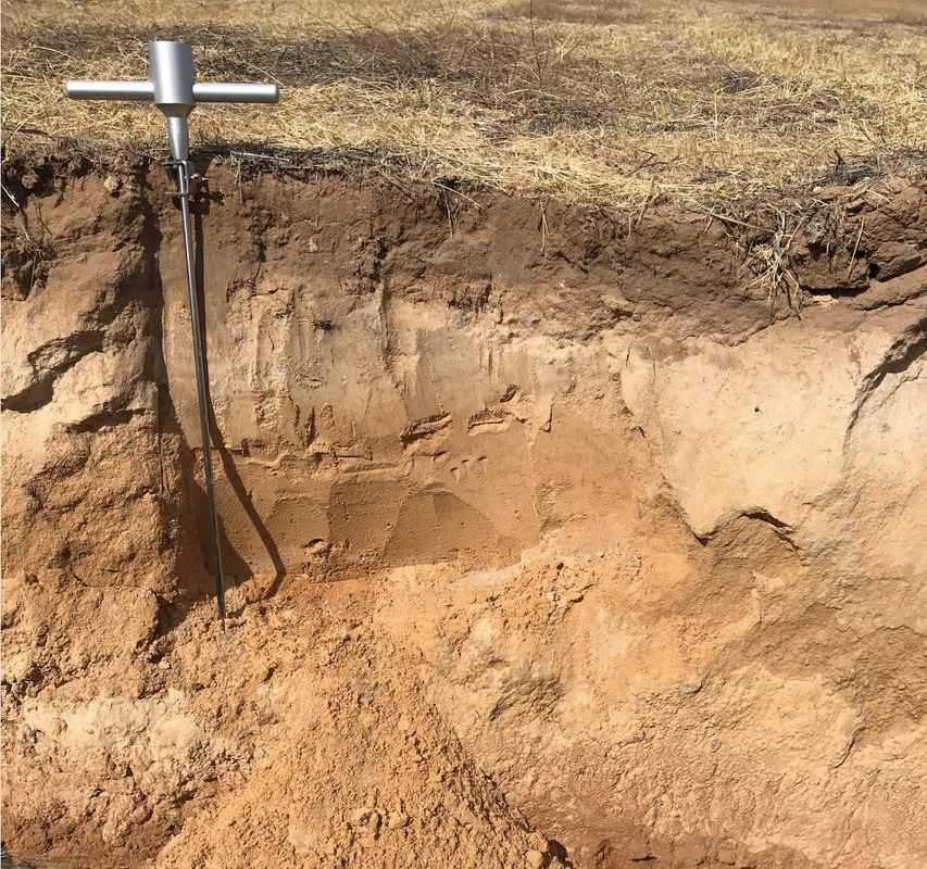 Soil Land Mallee Sand Seep